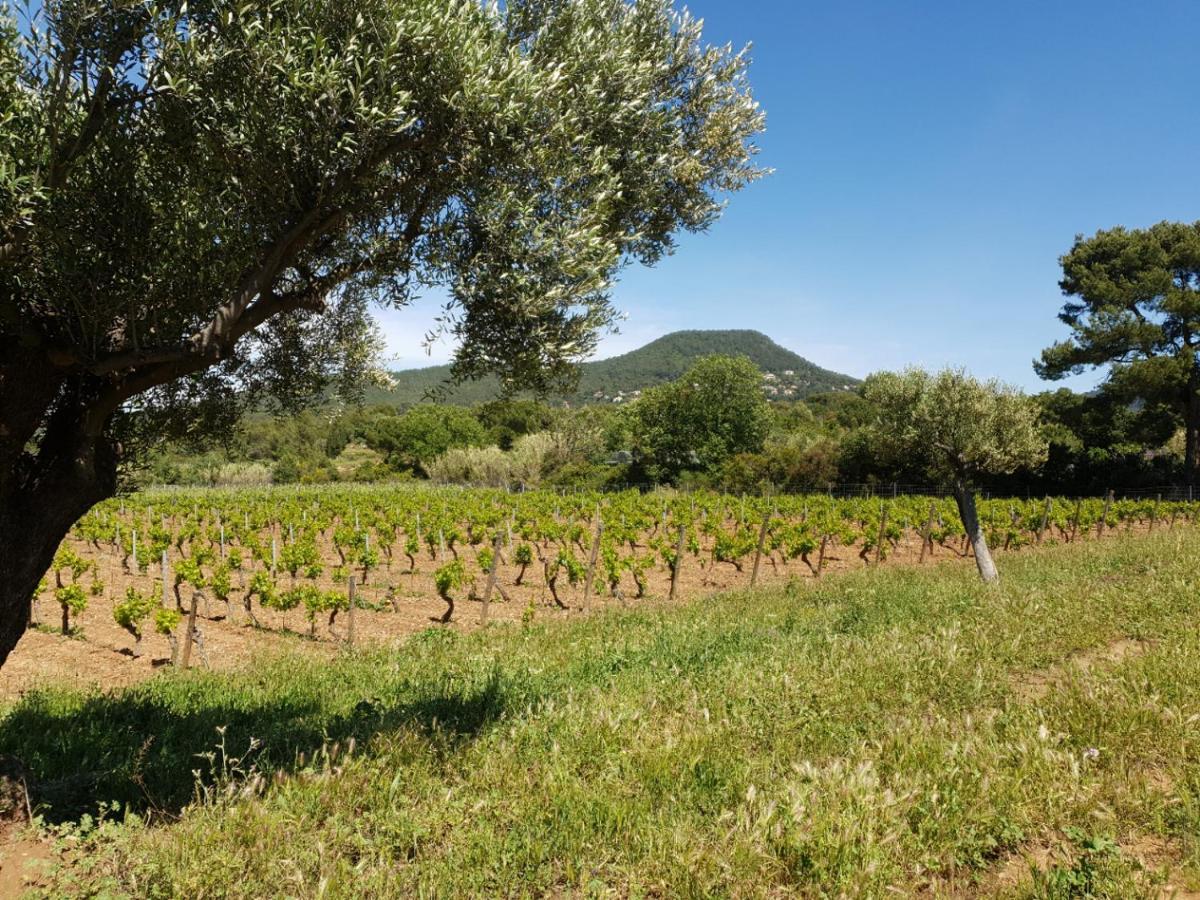 Villa Domaine De La Navicelle - Syrah Le Pradet Exterior foto